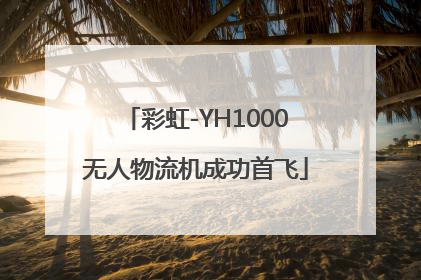彩虹-YH1000无人物流机成功首飞