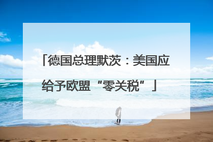 德国总理默茨：美国应给予欧盟“零关税”