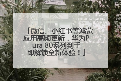 微信、小红书等鸿蒙应用高频更新，华为Pura 80系列到手即解锁全新体验！