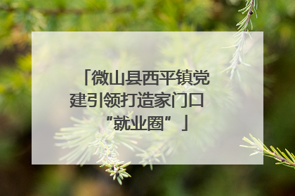 微山县西平镇党建引领打造家门口“就业圈”