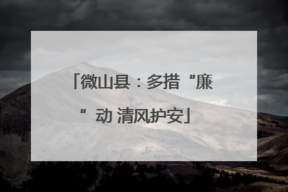微山县：多措“廉”动 清风护安