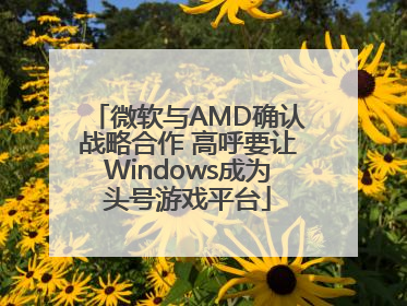微软与AMD确认战略合作 高呼要让Windows成为头号游戏平台