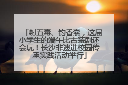 射五毒、钓香囊，这届小学生的端午比古装剧还会玩！长沙非遗进校园传承实践活动举行