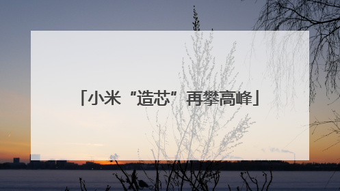 小米“造芯”再攀高峰