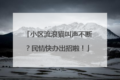 小区流浪猫叫声不断？民情快办出招啦！