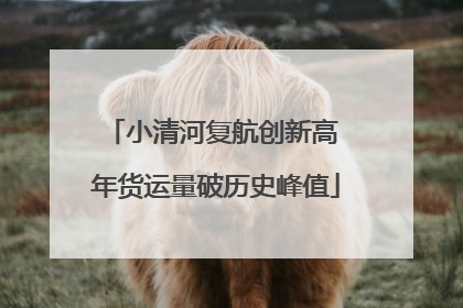 小清河复航创新高 年货运量破历史峰值