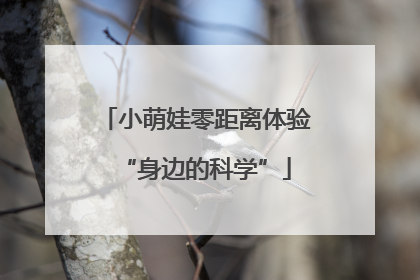 小萌娃零距离体验“身边的科学”