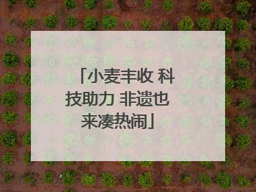 小麦丰收 科技助力 非遗也来凑热闹
