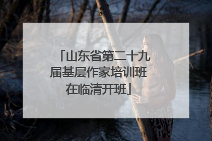 山东省第二十九届基层作家培训班在临清开班