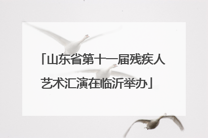 山东省第十一届残疾人艺术汇演在临沂举办
