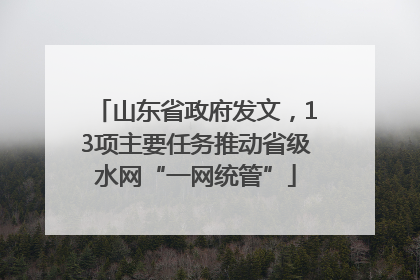 山东省政府发文，13项主要任务推动省级水网“一网统管”