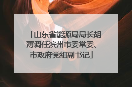 山东省能源局局长胡薄调任滨州市委常委、市政府党组副书记