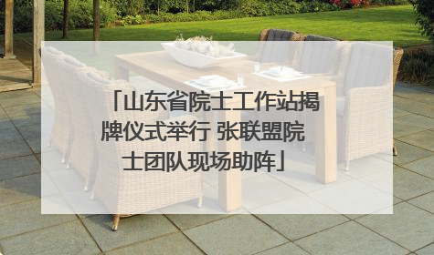 山东省院士工作站揭牌仪式举行 张联盟院士团队现场助阵