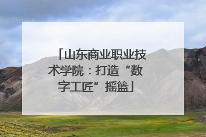 山东商业职业技术学院：打造“数字工匠”摇篮