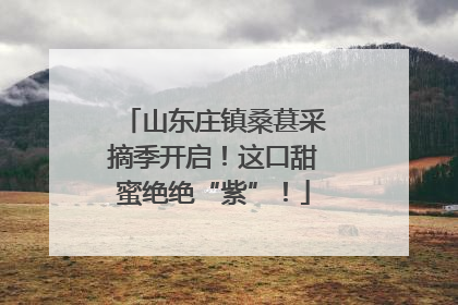 山东庄镇桑葚采摘季开启！这口甜蜜绝绝“紫”！