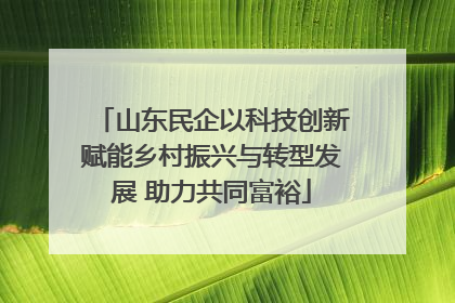 山东民企以科技创新赋能乡村振兴与转型发展 助力共同富裕