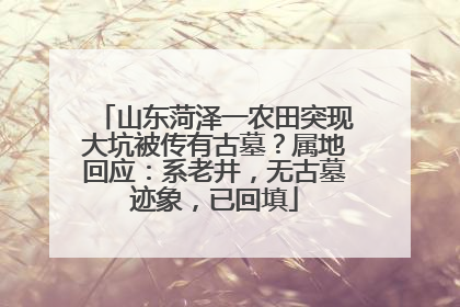 山东菏泽一农田突现大坑被传有古墓？属地回应：系老井，无古墓迹象，已回填