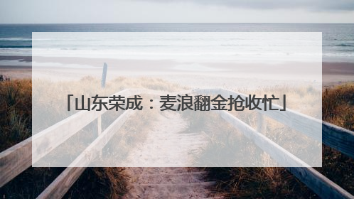 山东荣成：麦浪翻金抢收忙