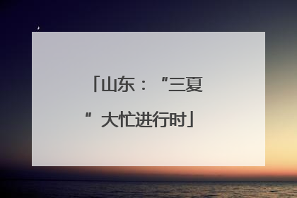 山东：“三夏”大忙进行时