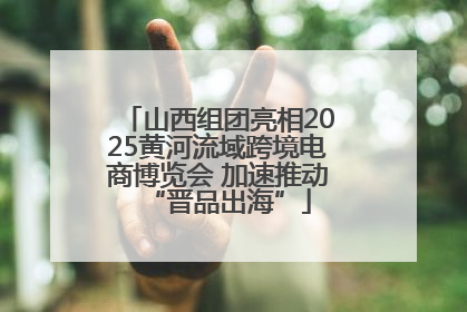 山西组团亮相2025黄河流域跨境电商博览会 加速推动“晋品出海”