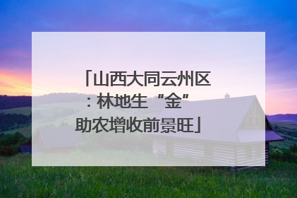 山西大同云州区：林地生“金” 助农增收前景旺