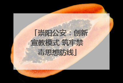 崇阳公安：创新宣教模式 筑牢禁毒思想防线