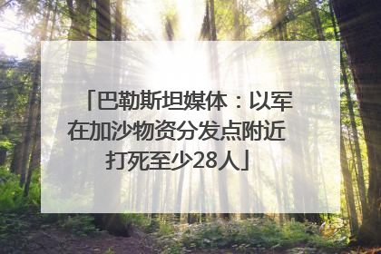 巴勒斯坦媒体：以军在加沙物资分发点附近打死至少28人