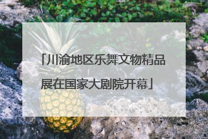 川渝地区乐舞文物精品展在国家大剧院开幕