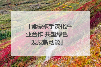常蒙携手深化产业合作 共塑绿色发展新动能