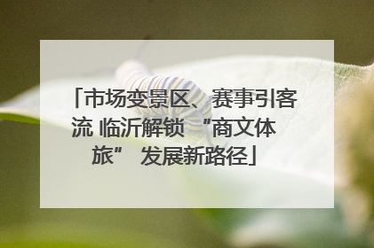 市场变景区、赛事引客流 临沂解锁 “商文体旅” 发展新路径