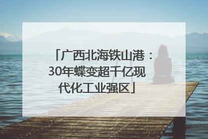 广西北海铁山港：30年蝶变超千亿现代化工业强区