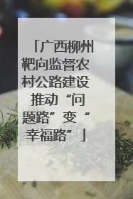 广西柳州靶向监督农村公路建设 推动“问题路”变“幸福路”