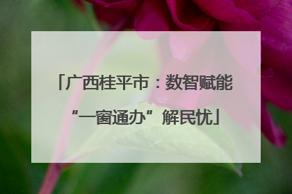 广西桂平市：数智赋能“一窗通办”解民忧
