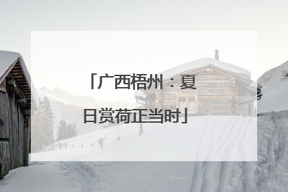 广西梧州：夏日赏荷正当时