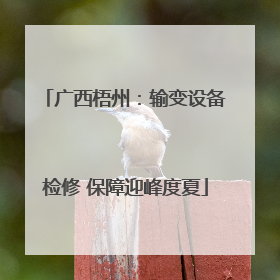 广西梧州：输变设备检修 保障迎峰度夏