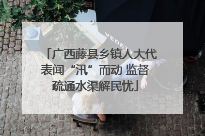 广西藤县乡镇人大代表闻“汛”而动 监督疏通水渠解民忧