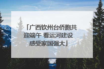 广西钦州台侨胞共迎端午 看运河建设感受家国强大