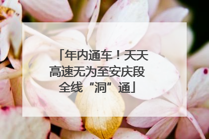 年内通车！天天高速无为至安庆段全线“洞”通