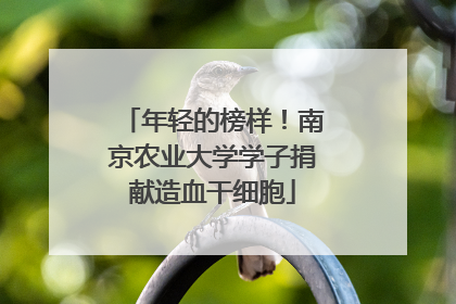 年轻的榜样！南京农业大学学子捐献造血干细胞