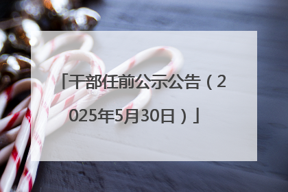 干部任前公示公告（2025年5月30日）