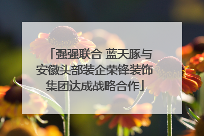 强强联合 蓝天豚与安徽头部装企荣锋装饰集团达成战略合作