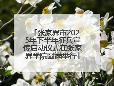 张家界市2025年下半年征兵宣传启动仪式在张家界学院圆满举行