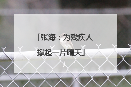 张海：为残疾人撑起一片晴天