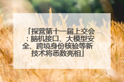 探营第十一届上交会：脑机接口、大模型安全、跨境身份核验等新技术将悉数亮相