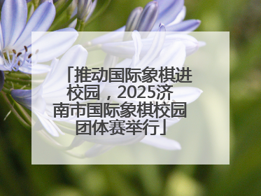 推动国际象棋进校园，2025济南市国际象棋校园团体赛举行