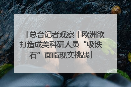 总台记者观察丨欧洲欲打造成美科研人员“吸铁石”面临现实挑战