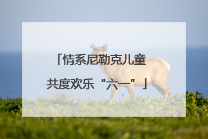 情系尼勒克儿童 共度欢乐“六一”