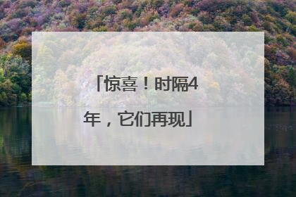 惊喜！时隔4年，它们再现