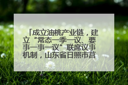 成立油桃产业链，建立“常态一季一议、要事一事一议”联席议事机制，山东省日照市莒县果庄镇——13个党小组“全周期”育果
