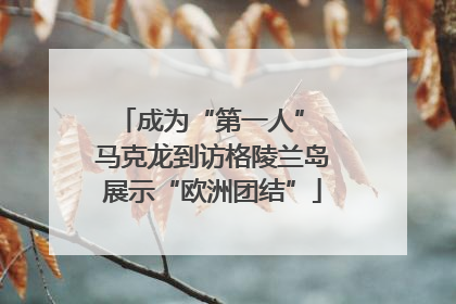 成为“第一人” 马克龙到访格陵兰岛展示“欧洲团结”